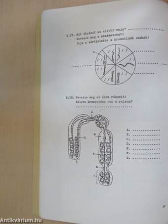 Biológia feladatgyűjtemény