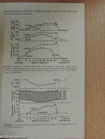 Obstetric Analgesia and Anesthesia