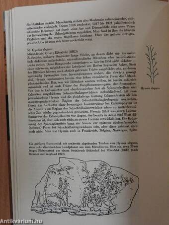 Das große Fossilienbuch