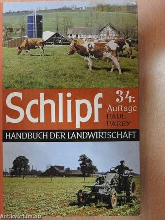 Schlipf