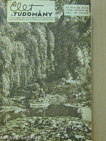 Élet és Tudomány 1956. június-december (fél évfolyam)