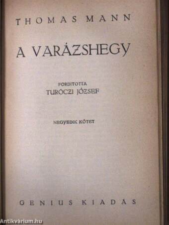 A varázshegy I-IV.