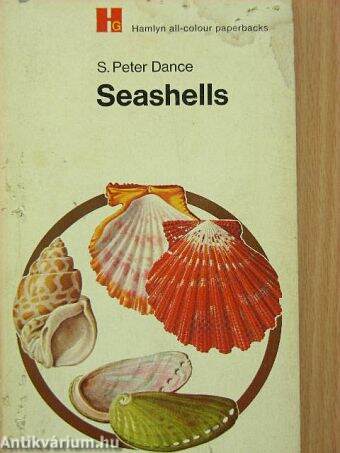 Seashells