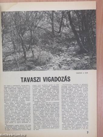 Turista Magazin 1982. április