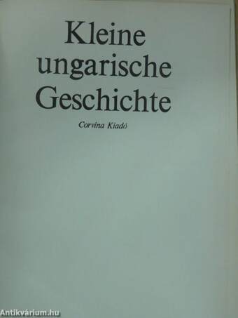 Kleine ungarische Geschichte