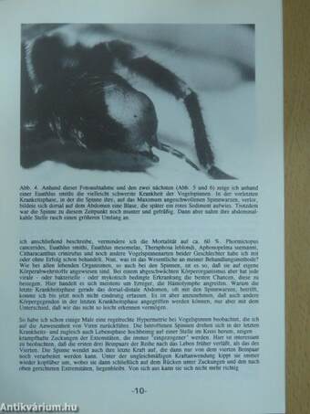 Arachnologischer Anzeiger 1992/1-12.