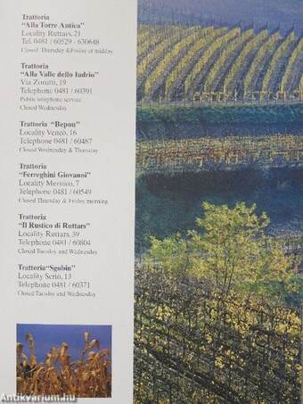 Discovering the Collio