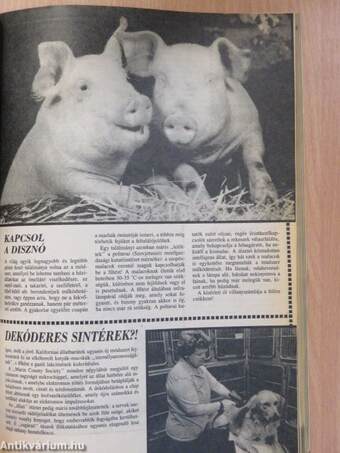 IPM 1991. (nem teljes évfolyam)