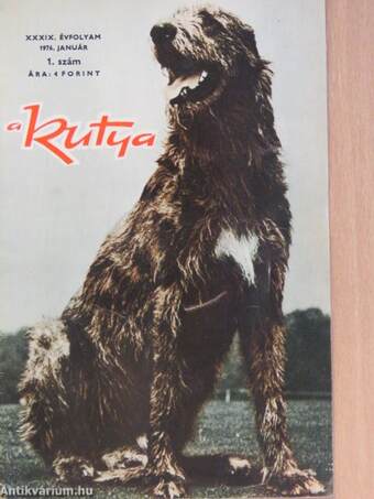 A kutya 1976. (nem teljes évfolyam)