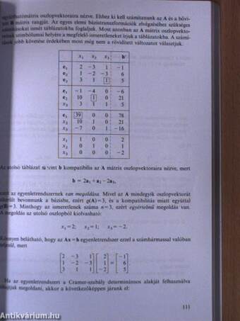 Vektorgeometria és lineáris algebra