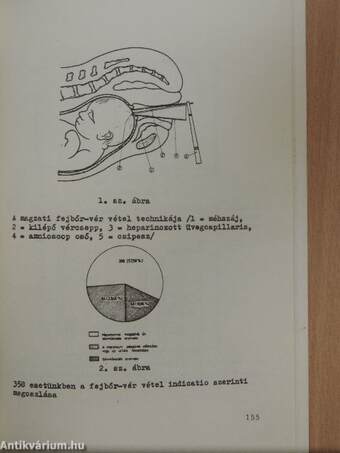 A Magyar Nőorvos Társaság Nőgyógyász Nagygyűlése