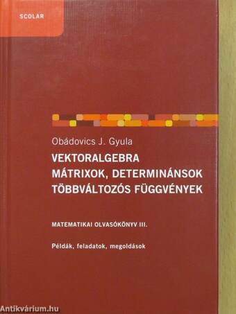 Vektoralgebra/Mátrixok, determinánsok/Többváltozós függvények