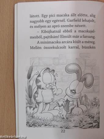 Garfield és a mérges mágus