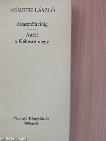 Akasztófavirág/Aurél a Kékesre megy