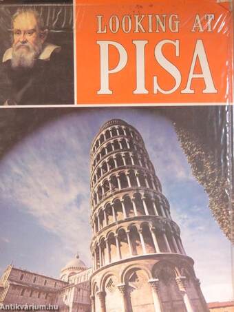 Looking at Pisa