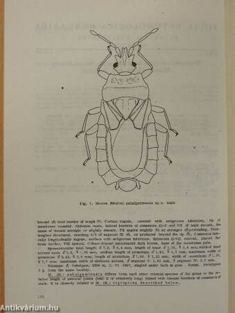 Folia Entomologica Hungarica 2/1977.