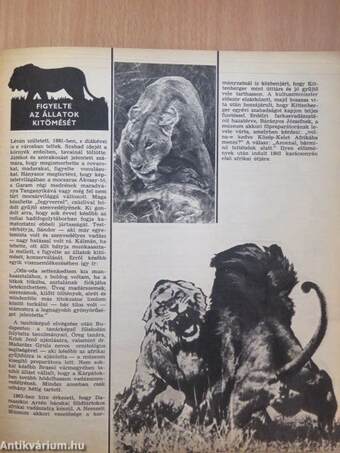 Ifjúsági Magazin 1973. március