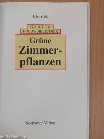 Grüne Zimmerpflanzen