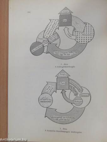 Prognosztika 1974/1.