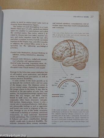 Abnormal Psychology