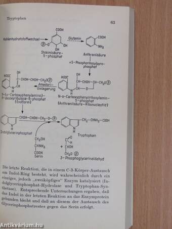 Dynamische Biochemie 2.