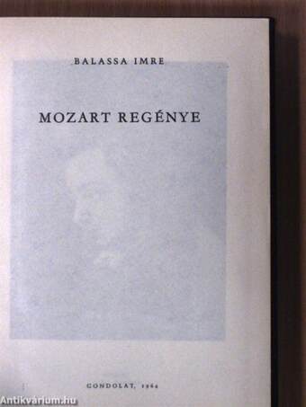 Mozart regénye