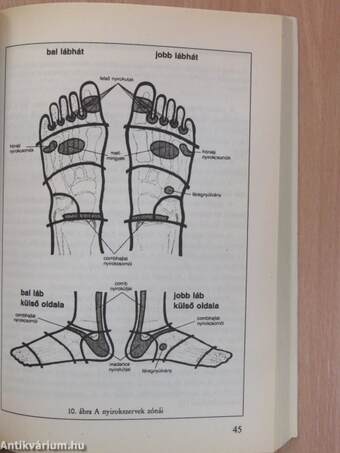 A láb- és talpmasszázs nagy könyve