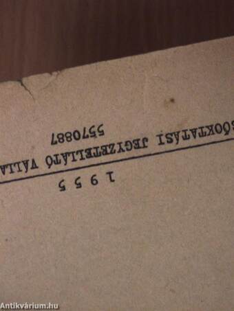 Magyar nyelv és irodalom I. év /1.-2. félév/