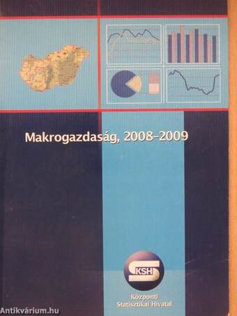 Makrogazdaság, 2008-2009