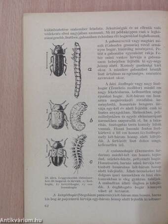 Védekezés a bolha, poloska, svábbogár, és egyéb ízeltlábúak ellen