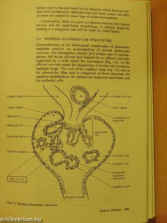 Essentials of Clinical Immunology