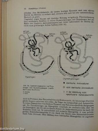 Medizinische Biochemie