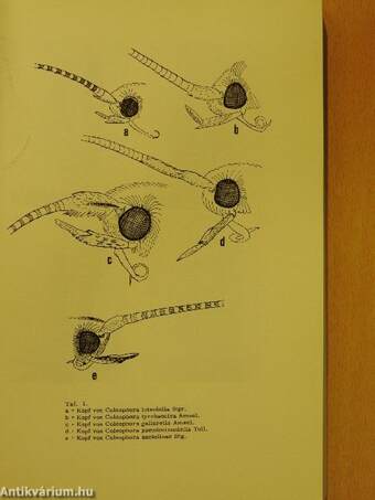 Folia Entomologica Hungarica 1978.