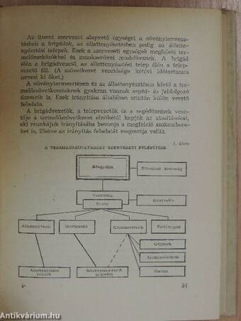 A mezőgazdasági üzemek gazdaságtana