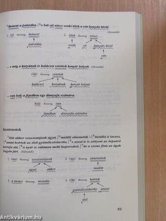 Nyelvi elemzések kézikönyve