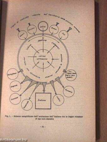 Manuale di Storia Della Lingua Italiana I.