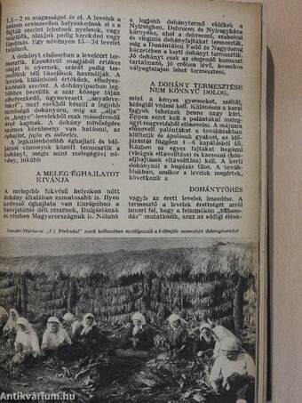 Élet és Tudomány 1950-1951. (nem teljes évfolyamok)