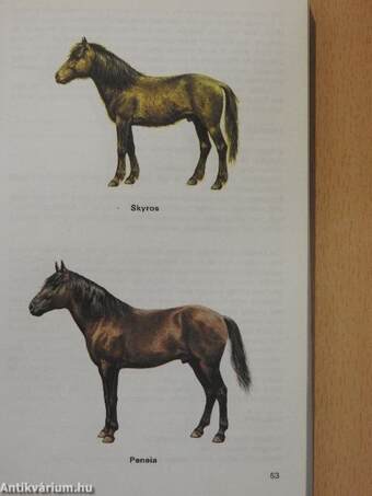 Guide to the Horses of the World