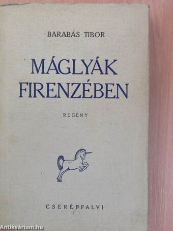 Máglyák Firenzében