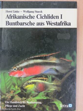 Buntbarsche aus Westafrika