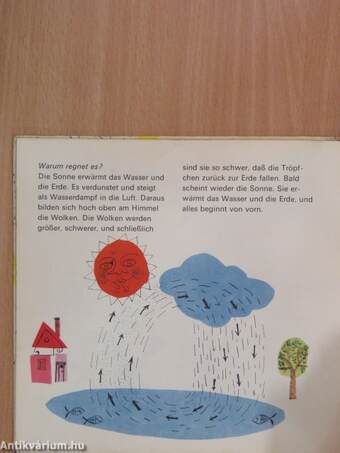 Katja und der Regen