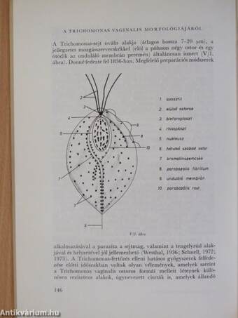 Az orvostudomány aktuális problémái 34.