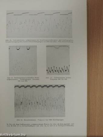 Taschenbuch der Medizinisch-Klinischen Diagnostik