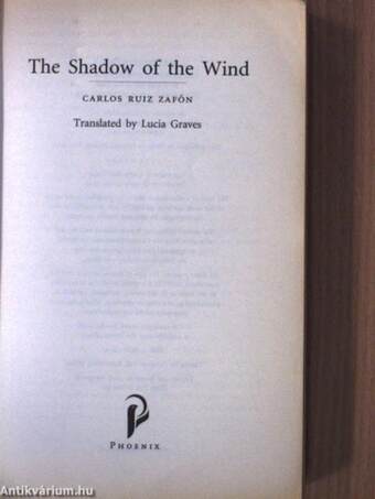 The shadow of the wind