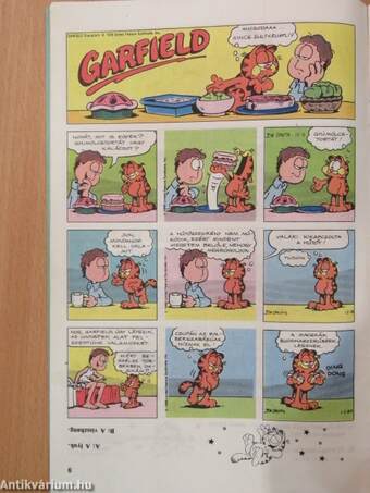 Garfield 1990/1.