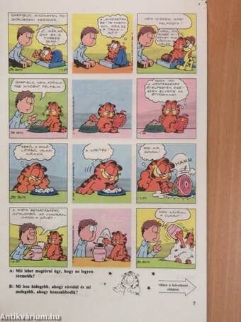 Garfield 1990/1.