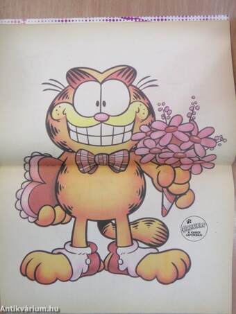 Garfield 1992/2. február