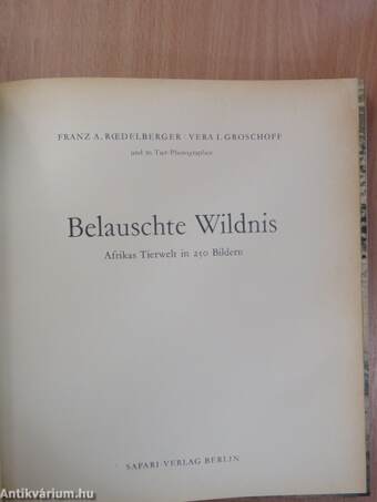 Belauschte Wildnis