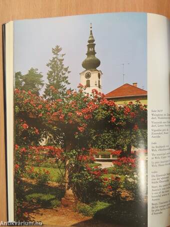 Colourful Austria