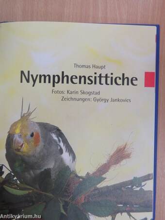 Nymphensittiche